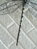 Silver Wire Dragonfly Wall Art - Medium