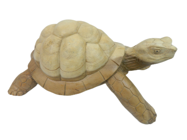 Wooden Tortoise Carving - Collection Only