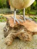 Wooden Painted Bird - Barn Owl