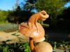 Hand Carving Wooden Frog On Mushroom