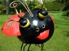 Metal Hanging Animal Tealight Holder - Ladybird