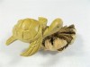 Hand Carving Wooden Turtle - Single Turtle