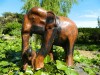 Wooden Elephant Carving - Mother and Baby Elephant Trunk Down