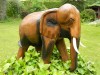 Wooden Elephant Carving - Walking Elephant