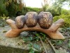 Wooden Owl Carving - Three Owls On Low Perch