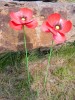 Metal Red Poppy - Two Flowers