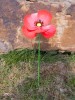 Metal Red Poppy - Single Flower