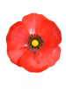 Metal Red Poppy - Magnet