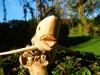 Hand Carving Wooden Great White Shark - 30cm