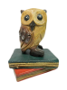 Wooden Owl Carving - Owl on Book