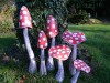 Red Wooden Mushrooms - Set of 6 Large Closed Cup and Flat