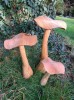 Wooden Flat Mushrooms Natural - Set of 3