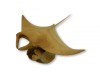 Hand Carving Wooden Manta Ray- 20cm