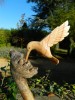 Hand Carved Humming Bird - Single on Parasite Wood