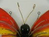 Metal Butterfly Wall Art - Rainbow Butterfly