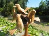 Hand Carved Wooden Flock Of Birds- 5 Birds