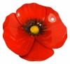 Metal Poppy on 1m Stick - Set of 3 - Red