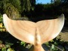 Hand Carved Wooden Whale Tail - 17cm