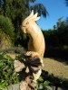 Hand Carved Wooden Cockatoo Bird