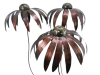 XL Metal Echinacea on 1m Stick - Set of 3 - Bronze