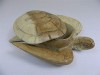Wooden Hand Bowl Carved Turtle With Lid