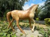 Wooden Horse Carving - Walking Horse