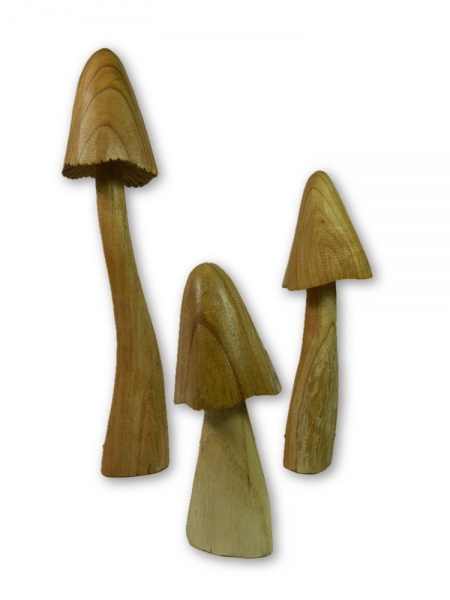 Wooden Closed Cup Mushrooms - Set of 3
