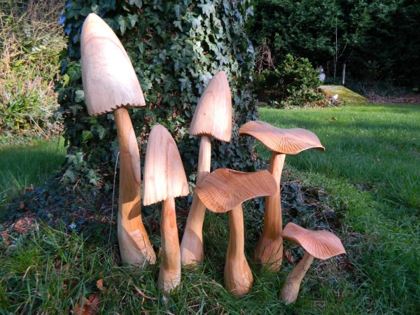 Wooden Mushrooms - Set of 6 Large Closed Cup and Flat