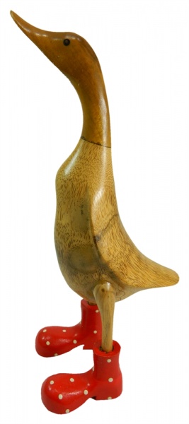 Wooden ducks best sale with rain boots