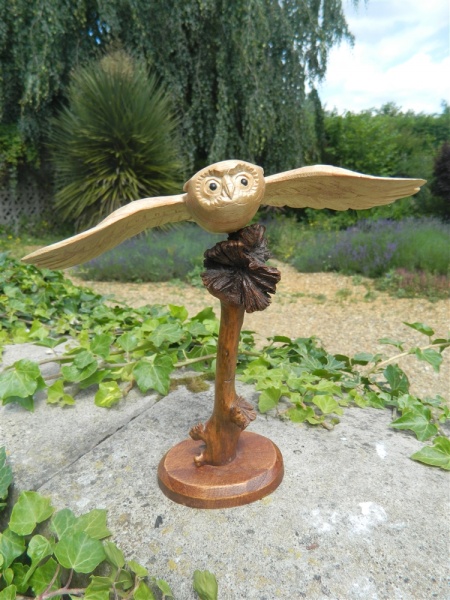 Hand Carved Flying Owl Bird on Stained Parasite Wood