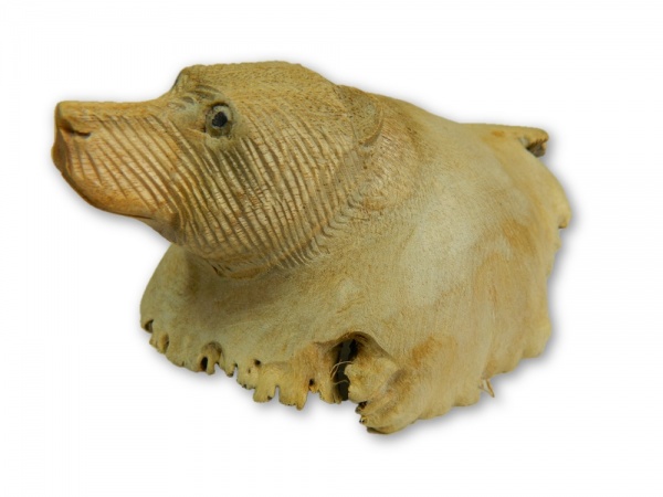 Hand Carved wooden Bear Head In Parasite Wood