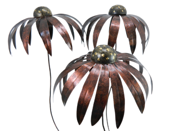 XL Metal Echinacea on 1m Stick - Set of 3 - Bronze