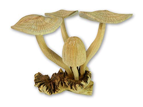 Hand Carving Wooden Mushroom Toad Stool - 20cm