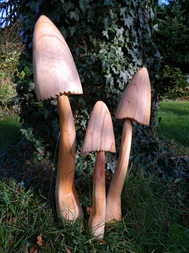 Wooden Closed Cup Mushrooms Large - Set of 3
