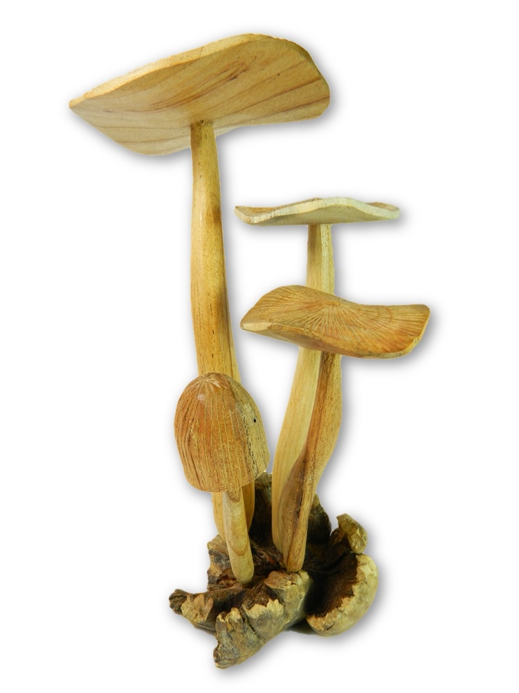 Hand Carving Wooden Mushroom Toad Stool - 32cm